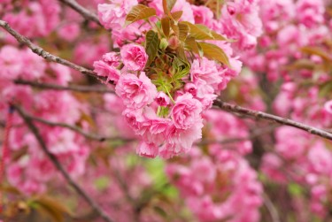 南京建邺区7线下个人借款平台一站式服务，轻松解决资金难题