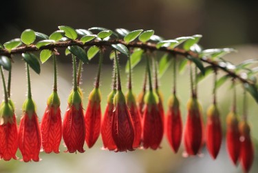 南京建邺区7零用贷短借：轻松解决临时资金需求